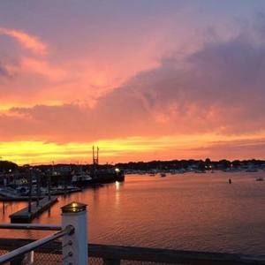 Meet your Posher, Alvena